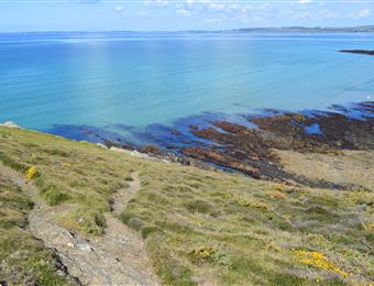 Campsite Finistere - Brittany